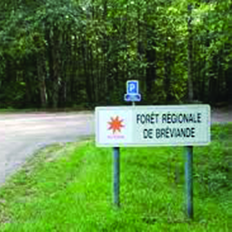 Massif forestier de Bréviande présenté dans le cadre de l'Université Populaire jeudi 24 novembre 2022 à 20h30 à la MLC la Citrouille, centre socioculturel