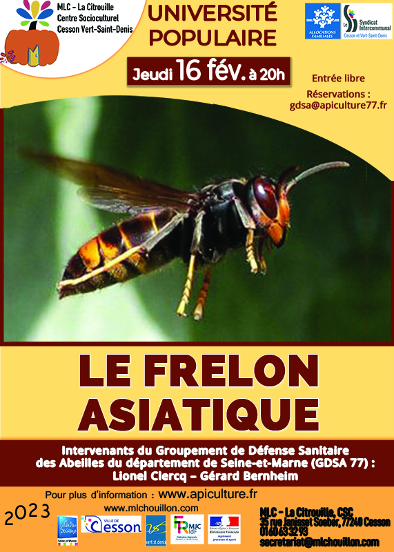 Le frelon asiatique présenté par le GDSA 77 jeudi 16 février 2023 à 20h à la MLC la Citrouille, centre socioculturel