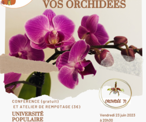 FAITES REFLEURIR VOS ORCHIDEES 77 – Université populaire